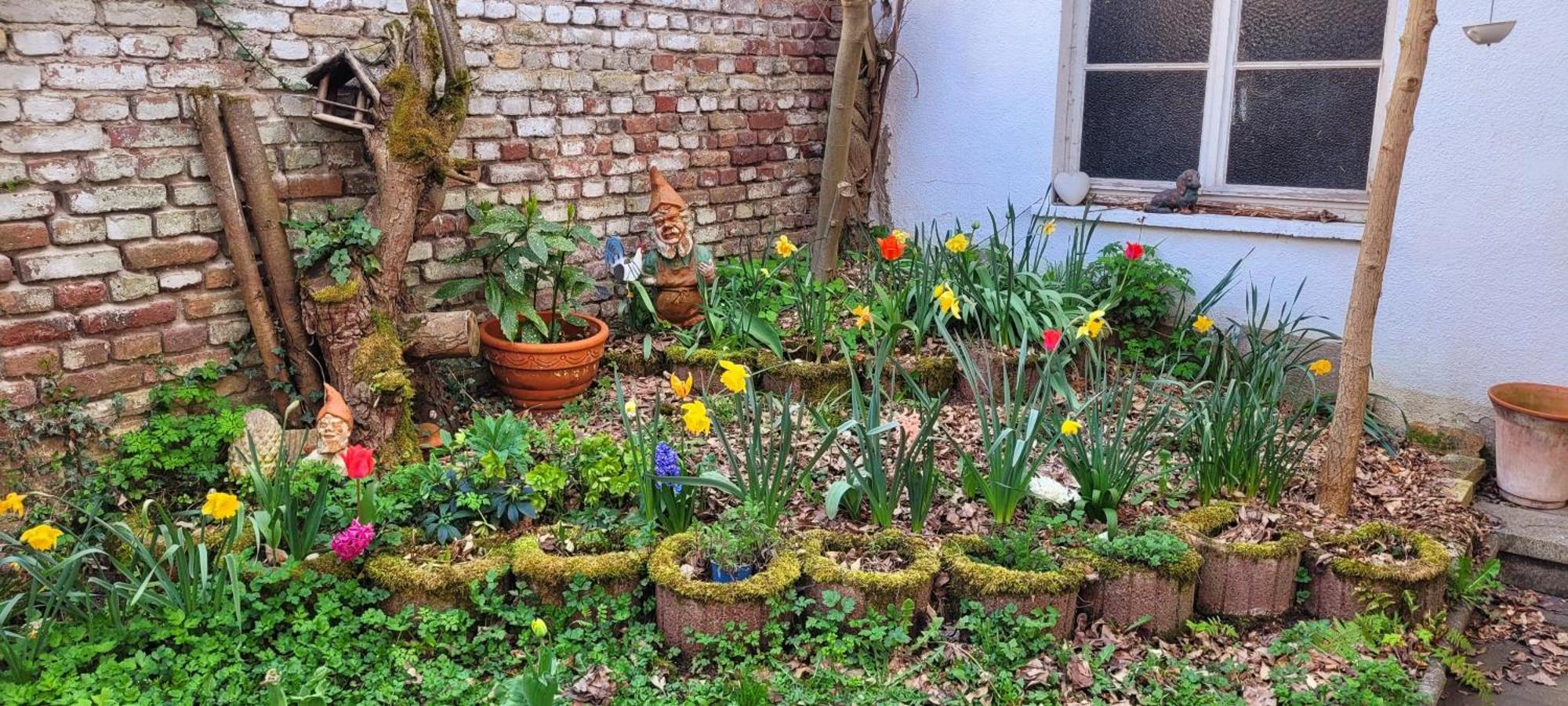 Urlaub Am Rhein, Ferienwohnung Mit Garten 博帕德 外观 照片