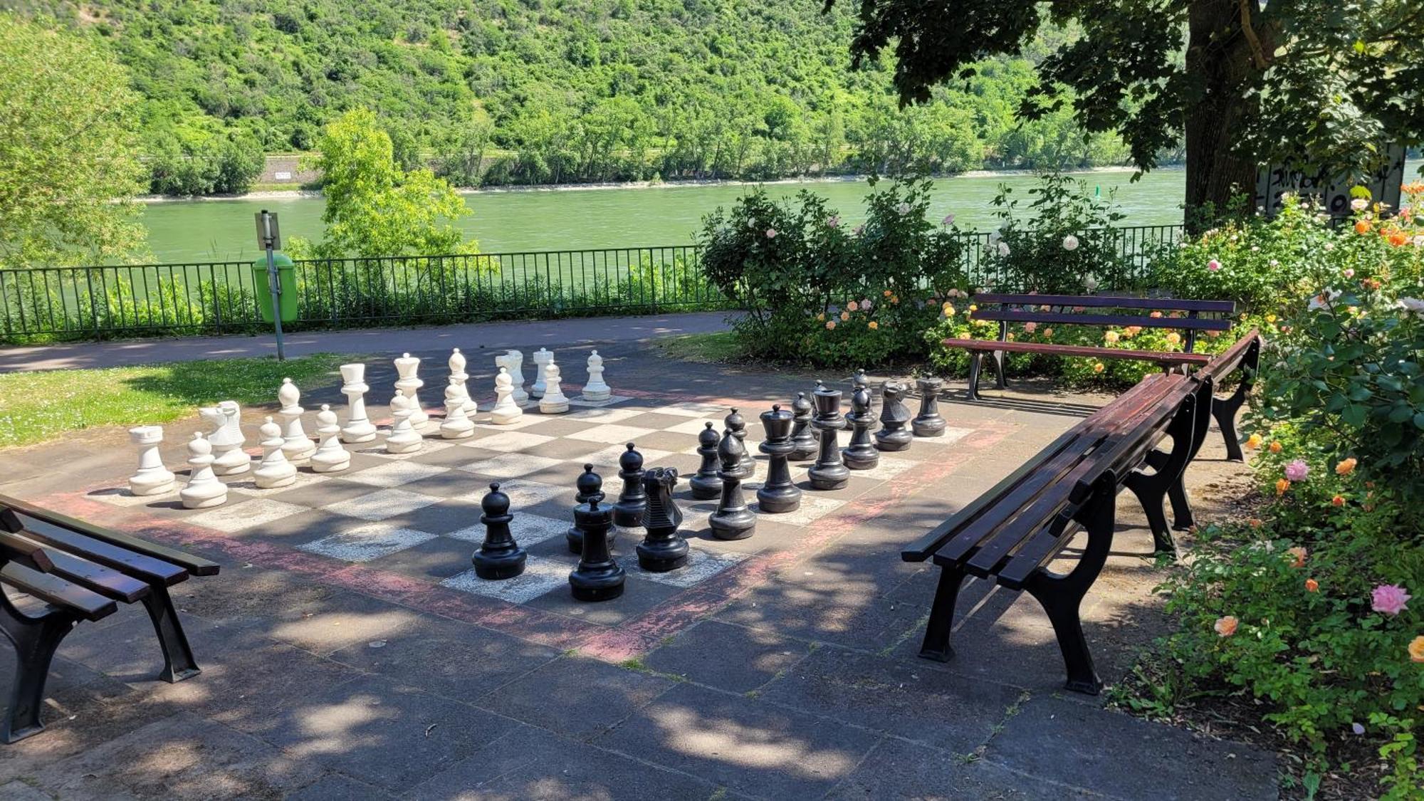 Urlaub Am Rhein, Ferienwohnung Mit Garten 博帕德 外观 照片